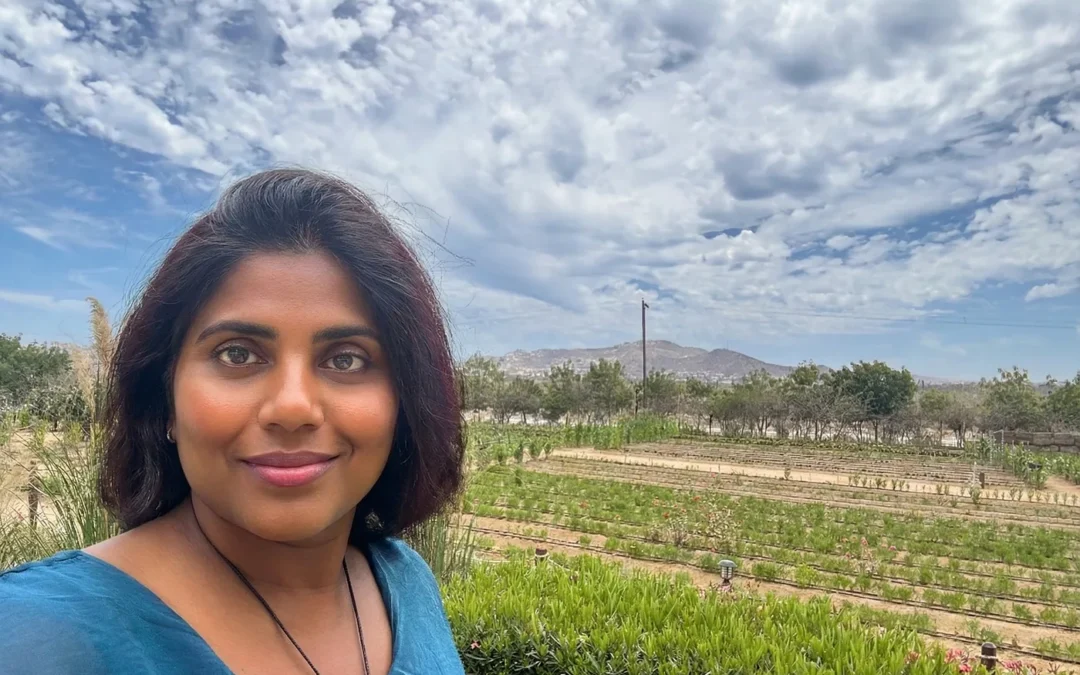 Before You Add the Tools, Check the System