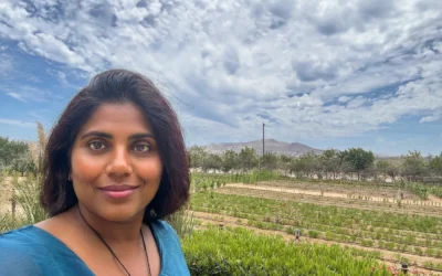 Before You Add the Tools, Check the System